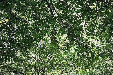 原生PS5版《我的世界》现已推出 支持4K 60帧